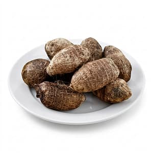 Colocasia