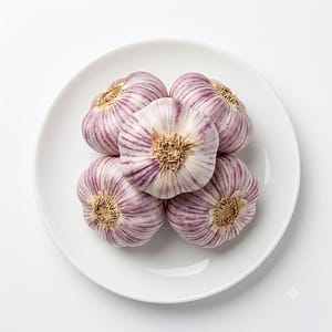 Garlic