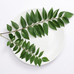 Curry Leaves