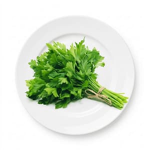 Coriander Leaves