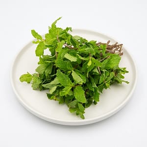 Mint Leaves