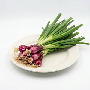 Spring Onion